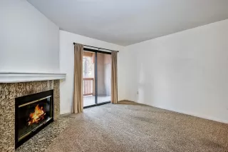 Photo #1: 240009881 Listing