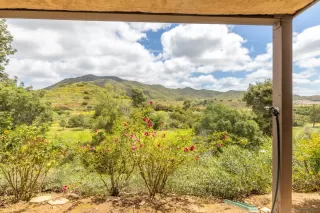 Photo #5: 240009885 Listing