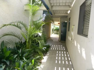 Photo #4: 240010296 Listing 