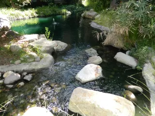 Photo #5: 240010296 Listing 