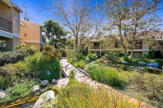 Photo #1: 240010301 Listing 