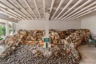 Photo #1: 240010464 Listing