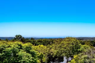 Photo #1: 240010706 Listing