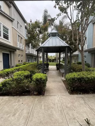 Photo #6: 240010912 Listing