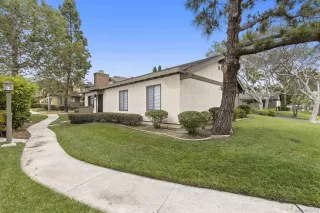 Photo #1: 240010935 Listing