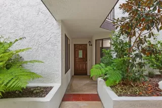 Photo #1: 240010992 Listing