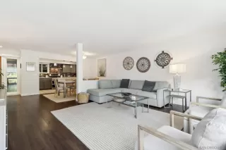 Photo #1: 240011600 Listing 