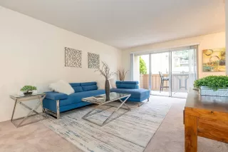 Photo #1: 240011663 Listing