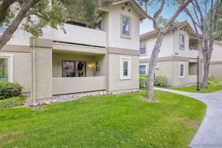 Photo #1: 240011718 Listing 