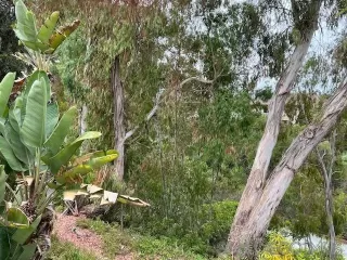 Photo #6: 240011771 Listing