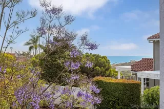 Photo #2: 240011981 Listing