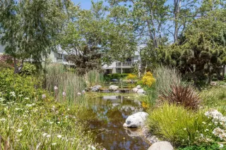 Photo #1: 240012283 Listing