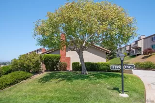 Photo #3: 240012419 Listing