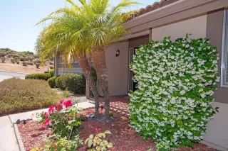 Photo #5: 240012419 Listing