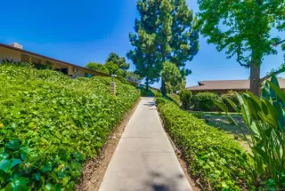 Photo #2: 240012425 Listing 