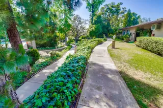 Photo #4: 240012425 Listing 