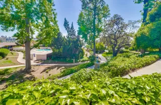 Photo #5: 240012425 Listing 