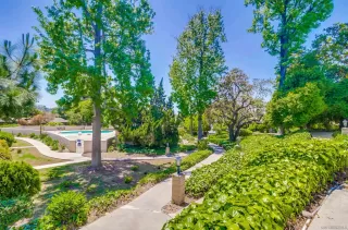 Photo #6: 240012425 Listing 