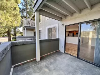 Photo #2: 240012491 Listing