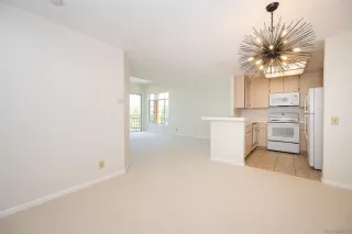 Photo #6: 240012557 Listing