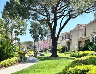 Photo #1: 240013000 Listing 