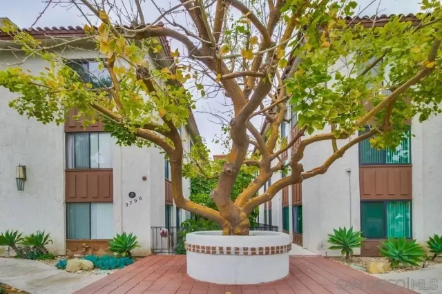 MLS: 240013150 Condo For Sale