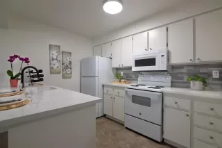 Photo #6: 240013574 Listing 