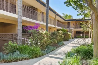 Photo #1: 240013614 Listing 