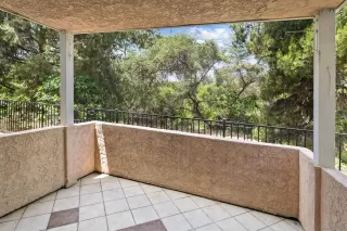 Photo #1: 240014072 Listing 