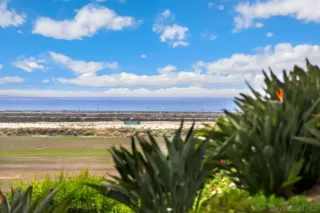 Photo #4: 240014257 Listing