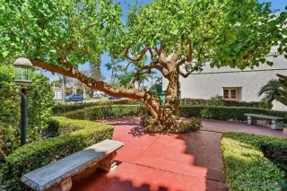 Photo #3: 240014424 Listing