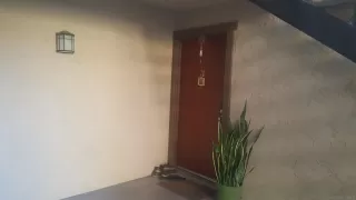 Photo #1: 240014469 Listing