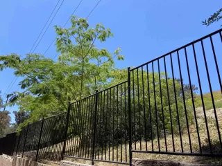 Photo #2: 240014554 Listing