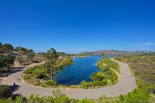 Photo #1: 240014679 Listing