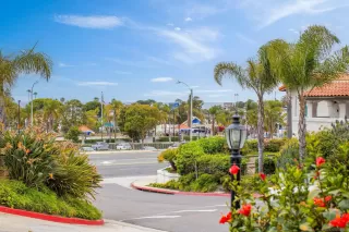 Photo #6: 240014800 Listing