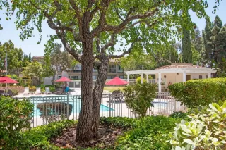 Photo #1: 240014965 Listing