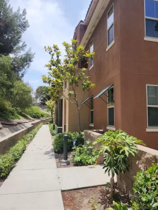 Photo #5: 240014996 Listing 