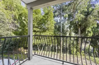 Photo #5: 240015156 Listing