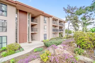 Photo #1: 240015281 Listing 