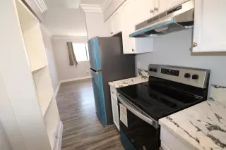 Photo #1: 240015454 Listing