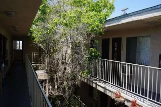 Photo #6: 240015475 Listing 