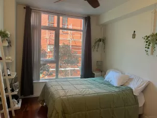 Photo #6: 240015966 Listing