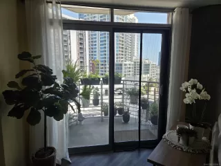 Photo #5: 240016233 Listing