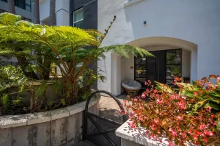 Photo #5: 240016325 Listing 