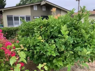 Photo #1: 240016335 Listing