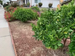 Photo #2: 240016335 Listing