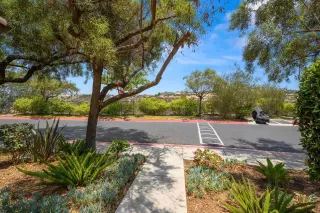 Photo #3: 240016434 Listing 
