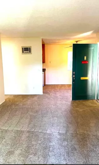 Photo #5: 240016473 Listing