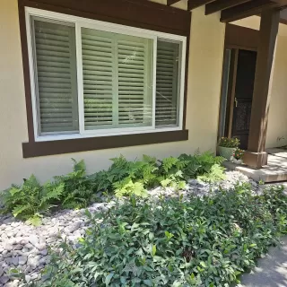 Photo #1: 240016659 Listing 