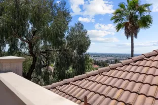 Photo #5: 240016758 Listing